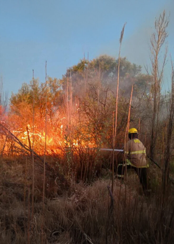 Bomberos voluntarios combatieron múltiples incendios rurales en Cañada Seca fuego