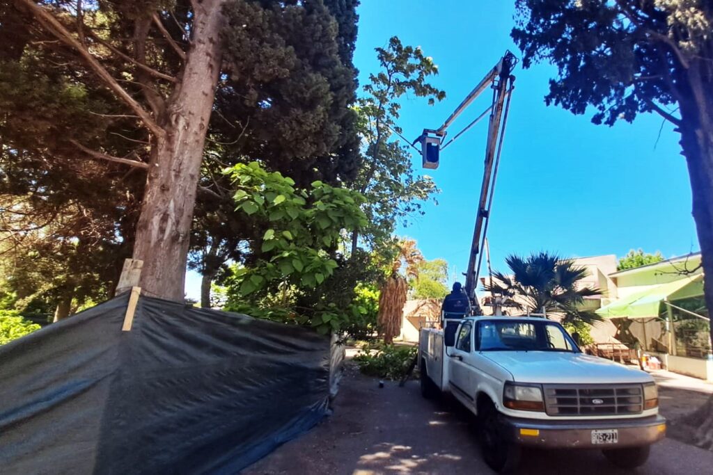 RENOVACIÓN DE LA PLAZA RAMÓN RUIZ DE ATUEL NORTE img 20251031 wa0004
