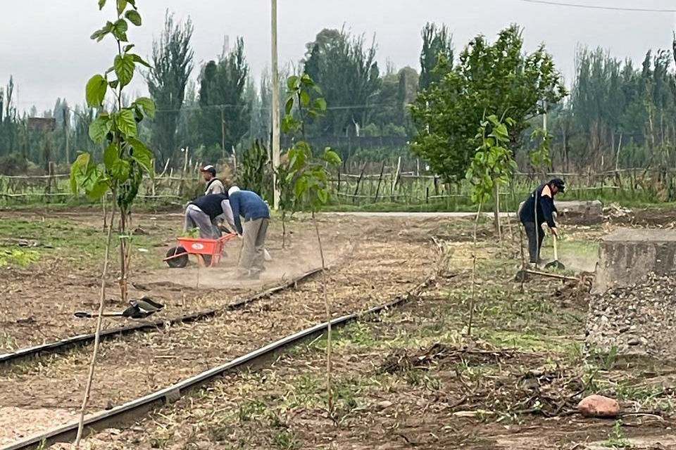 CUADRO BENEGAS: NIVELACIÓN Y FORESTACIÓN EN EL PROYECTO DEL PARQUE LINEAL
