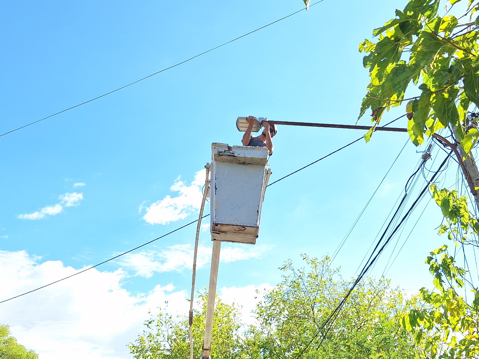 SE INSTALAN NUEVAS LUMINARIAS LED EN LA AVENIDA CARDONATO Y CONTINUARÁ CALLE SUETA