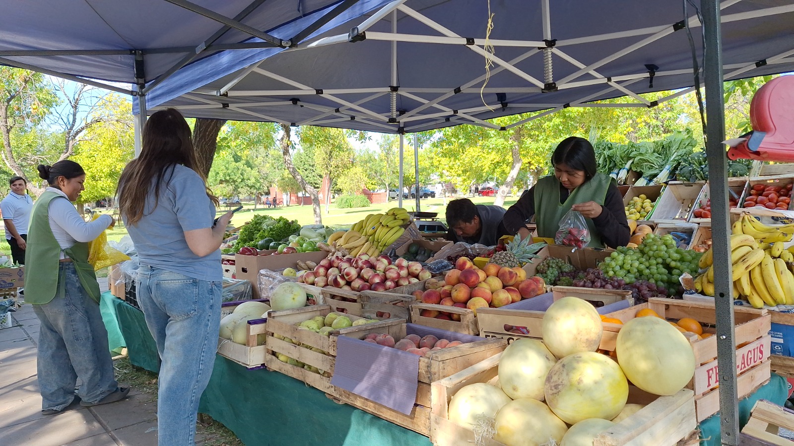 ÉPOCA DE SALSAS Y CONSERVAS: FRUTAS Y VERDURAS LOCALES AL MEJOR PRECIO EN LA FERIA FRANCA MUNICIPAL