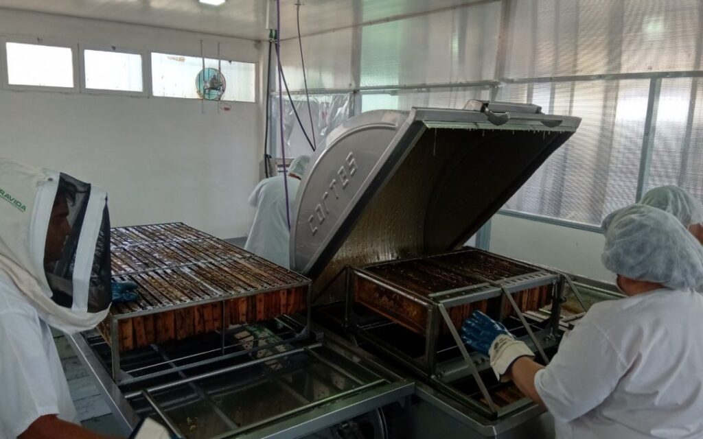 LA SALA MUNICIPAL DE EXTRACCIÓN PROCESÓ MÁS DE 31 TONELADAS DE MIEL Y EL 65% DE LA PRODUCCIÓN SE EXPORTÓ whatsapp image 2026 05 27 at 18.16.41