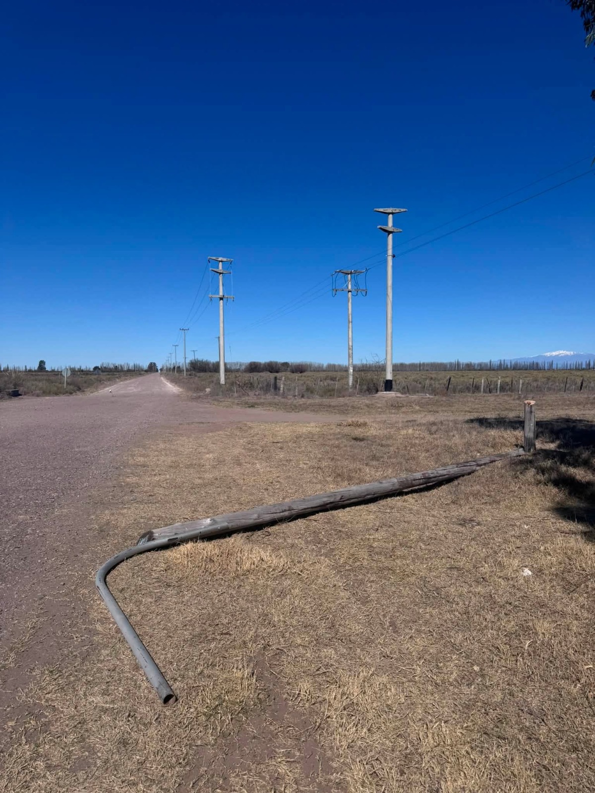 INCREÍBLE: USARON UNA MOTOSIERRA PARA TIRAR ABAJO UN POSTE Y ROBARSE UNA LUZ LED EN JAIME PRATS